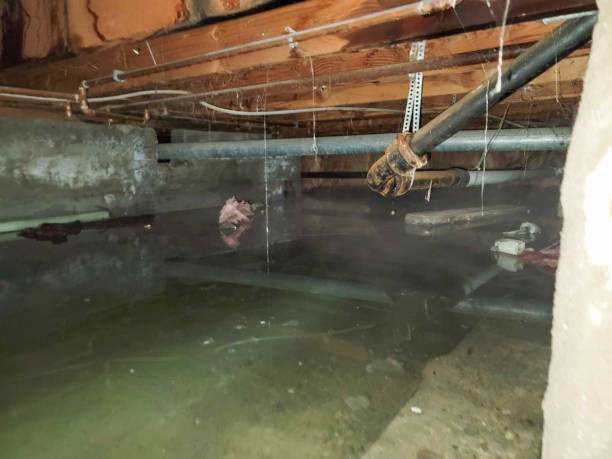 Best Water damage restoration near me  in Matamoras, OH