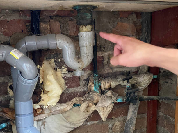 Best Flooded house restoration  in Matamoras, OH