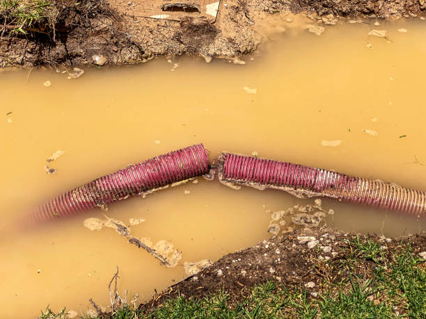 Water damage restoration mold remediation in Matamoras, OH